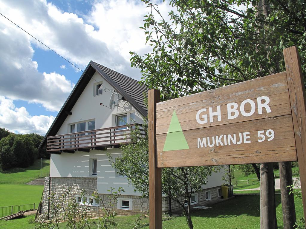 Guesthouse Bor Plitvice Lakes Плитвицкие озёра Экстерьер фото